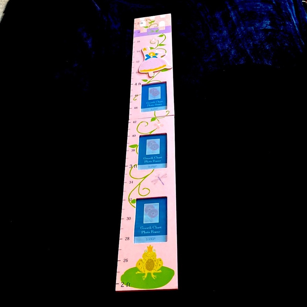 Kids Wooden Growth Chart Photo Frame Princess Theme